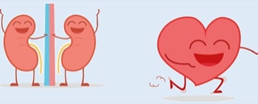 Un solo farmaco per cuore e reni