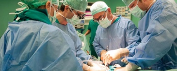 Diventare donatore di organi