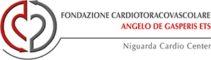 Logo Fondazione De Gasperis