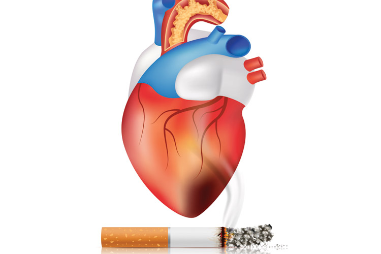 Smettere di fumare fa bene al cuore