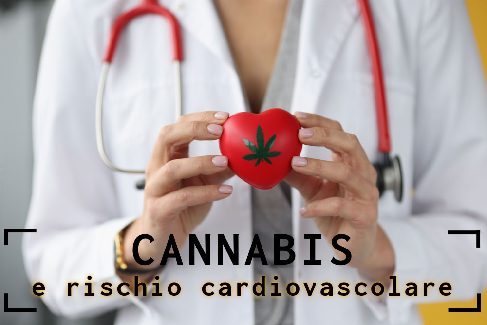 Cannabis e cuore
