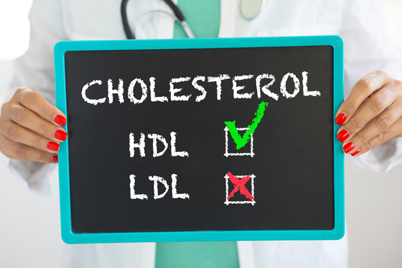 colesterolo hdl e ldl